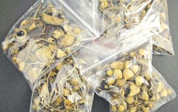 Cảnh giác ma túy mới cực độc