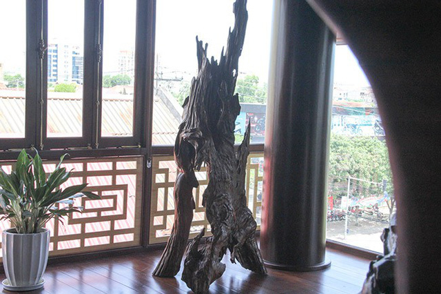 Gỗ lũa sau khi được chế t&aacute;c được b&agrave;i tr&iacute; trong nh&agrave;.