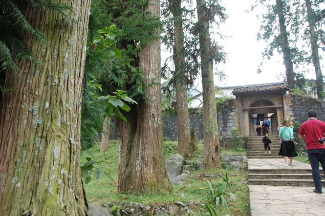 Chuyện quanh Dinh thự Vua M&egrave;o: Tư duy nhiệm kỳ?