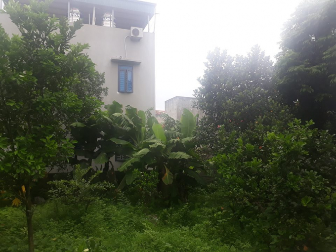 C&aacute;c hộ cũng tự &yacute; x&acirc;y tường bao lấn chiếm đất.