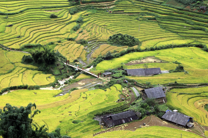 V&agrave; khi ấy, bạn sẽ c&oacute; cảm gi&aacute;c m&igrave;nh đang được đi xuy&ecirc;n qua biển l&uacute;a v&agrave;ng, được tận mắt ngắm những thửa ruộng bậc thang v&agrave;ng &oacute;ng, uốn lượn b&ecirc;n d&atilde;y Ho&agrave;ng Li&ecirc;n Sơn kỳ vĩ, điểm xuyết những m&aacute;i nh&agrave; l&aacute; nhấp nh&ocirc; của người d&acirc;n T&acirc;y Bắc. Khung cảnh b&igrave;nh y&ecirc;n ấy, thật dễ khiến người ta phải l&ograve;ng v&ugrave;ng đất n&agrave;y.&nbsp;