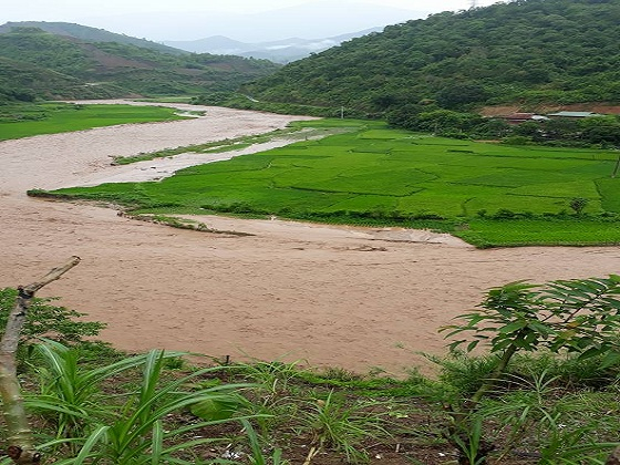 &nbsp;Nhiều ha ruộng l&uacute;a, hoa m&agrave;u của b&agrave; con bị lũ cuốn tr&ocirc;i.