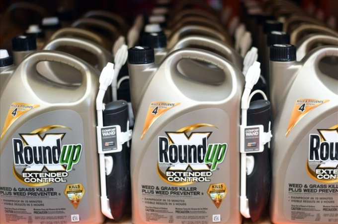 Hoạt chất thuốc diệt cỏ glyphosate đang bị tạm ngừng đăng k&yacute; mới tại Việt Nam bởi những nghi vấn về t&aacute;c hại tới sức khỏe con người. Ảnh: P.V