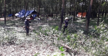 Địa ốc 7AM: “Đau đầu” chuyện giải phóng mặt bằng sân bay Long Thành, xây dựng trái phép ở ngoại ô TP.HCM