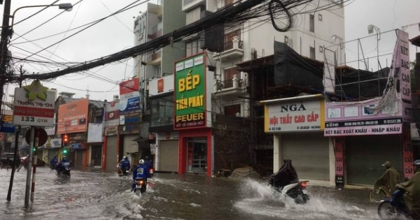 Đường phố Quảng Ninh và Hải Phòng ngập sâu, cây xanh gãy đổ ngổn ngang sau bão số 3