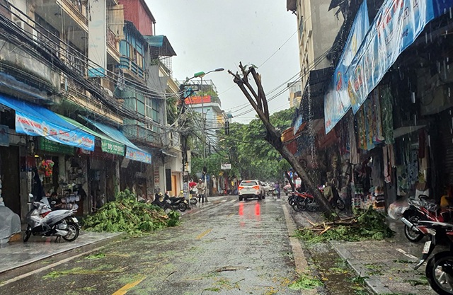 Hà Nội mưa liên tục sau bão, cây xanh gãy đổ ở nhiều nơi - 6