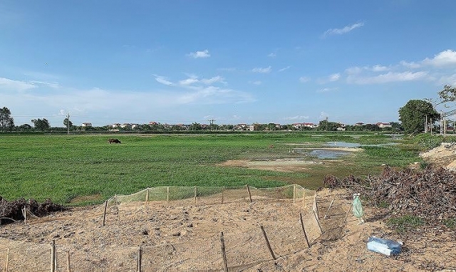 Bắc Ninh: Doanh nghiệp trúng thầu khẳng định không thông thầu