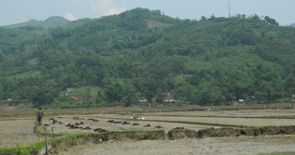 Yên Bái: Ba người trong một gia đình bị sét đánh tử vong