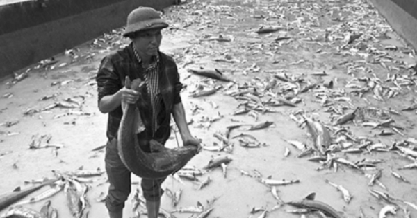 Đừng đổ lỗi cho mẹ thiên nhiên, mà cần hỏi ta đã làm gì?