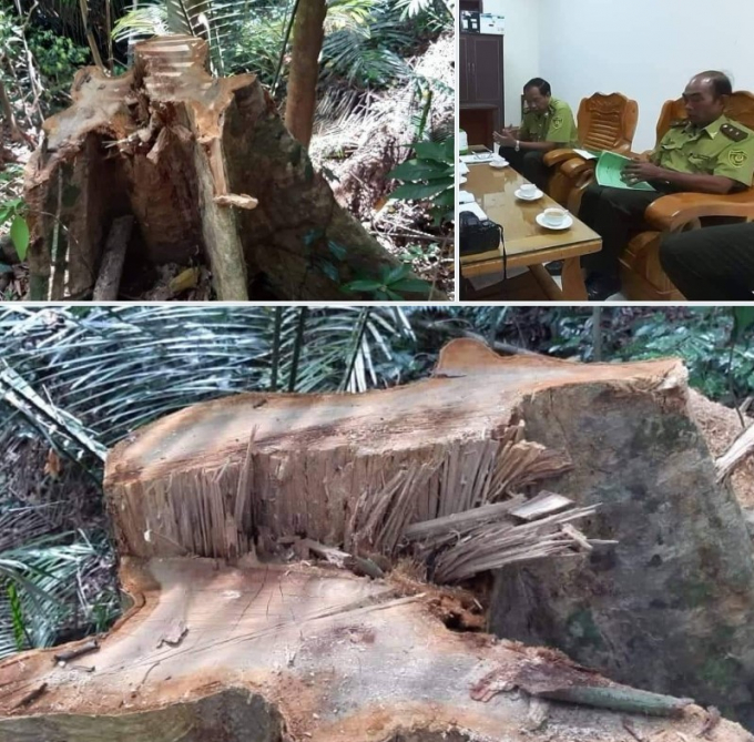 Screenshot_20190812-220426_Zalo