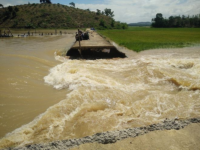 Đoạn đê vỡ, nước tràn vào hàng trăm ha lúa chuẩn bị thu hoạch.