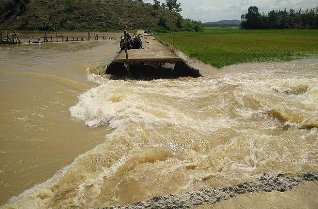 Ngụp lặn giữa dòng nước hộ đê cứu lúa