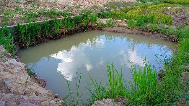 cd-1565880290810_jsxo_thumb