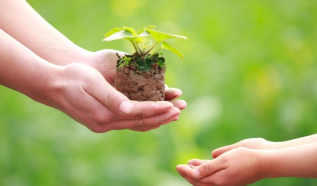 cho-di-hanh-phuc-hon-nhieu-nhan-lai11486133548