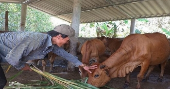 Hàng nghìn thanh niên nghèo vùng cao Tuyên Hóa được vay vốn chính sách