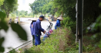 Hà Nội: Chung cư Xuân Mai Complex phát quang bụi dậm ngừa rắn độc