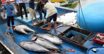 Tin kinh tế 6AM: Ông Trump ra tay, vàng tăng ngay gần 1 triệu đồng/lượng; Hà Nội mở bán hồ sơ đấu giá lô gỗ sưa 