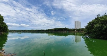 Đà Nẵng: Thu hồi nhiều ngàn mét vuông đất công viên bị xẻ bán trái phép