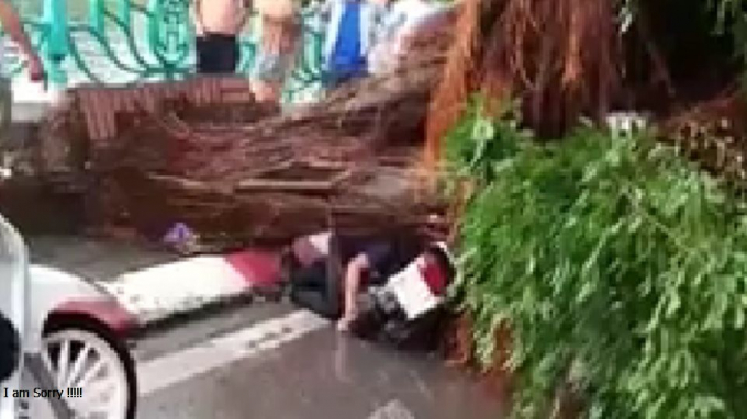 69273764_1299496443547691_1094353754305593344_n