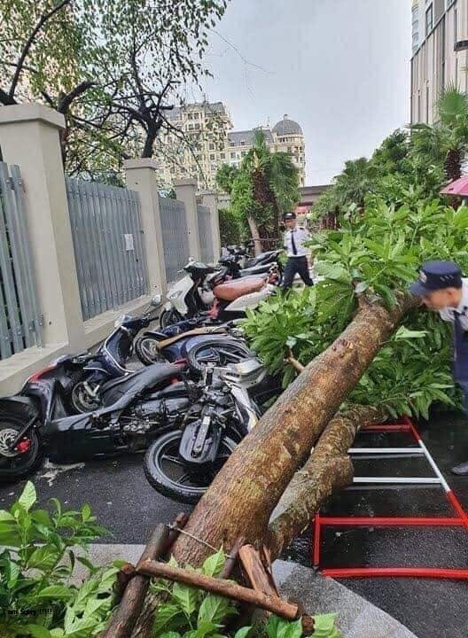 69623799_1299496580214344_4238496756754546688_n