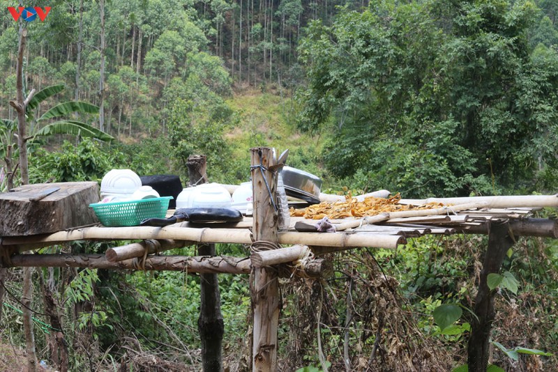 Ăn rừng, ngủ lán... Đó là những sinh hoạt hằng ngày của những người lính quân hàm xanh nơi biên giới Lạng Sơn.