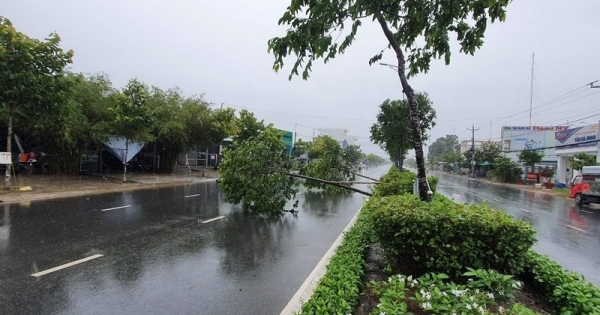 Cà Mau thiệt hại hàng tỷ đồng do ảnh hưởng của hoàn lưu bão số 2 gây ra