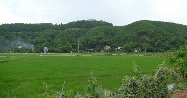 Chuyện ly kỳ về 