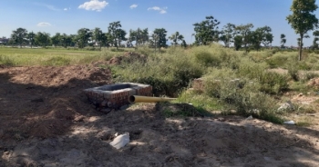 Mê Linh Vista bán lúa non, Sở Xây dựng Hà Nội nói gì?