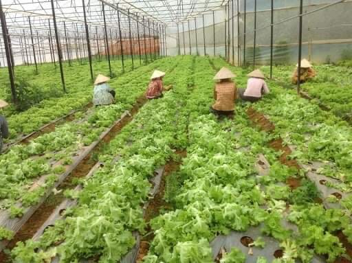 c8ef782820b1dcef85a0