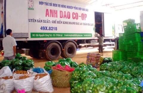 9100b9c7e15e1d00444f