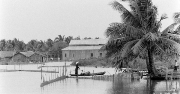 [Truyện ngắn] Dòng sông trôi mãi