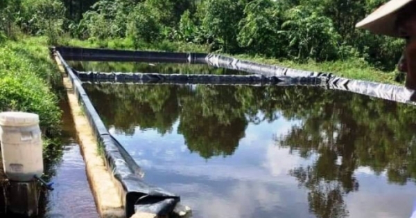 Nghệ An: Xử phạt 320 triệu đồng đối với công ty TNHH Đại Thành Lộc