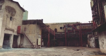 Giấy Bãi Bằng - quyển vở bìa xanh với cậu bé cưỡi trâu, một huyền thoại kinh tế quốc doanh vật lộn với thua lỗ