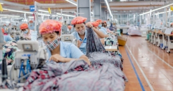 May Sông Hồng bị kiểm toán ngoại trừ về công nợ 219 tỷ với đối tác Mỹ