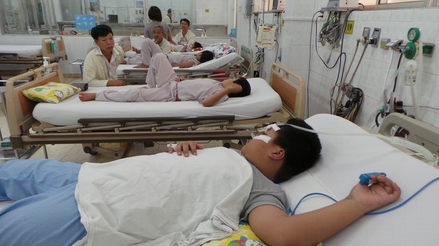Bệnh nhi có cơ địa dư cân, béo phì nguy cơ vào sốc nặng, suy đa tạng khi mắc sốt xuất huyết