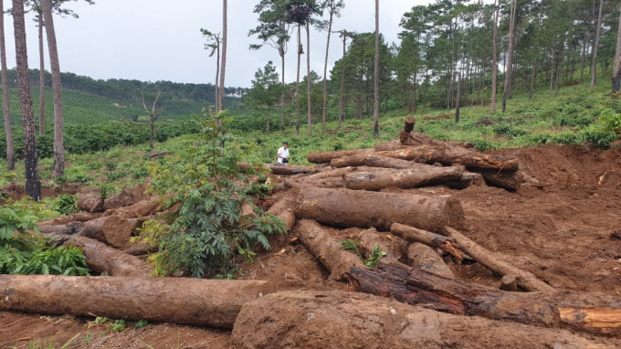 118672049_639069580322971_8940288393008595149_n