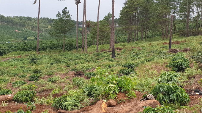 118581848_1755187814638981_8149349913731184570_n