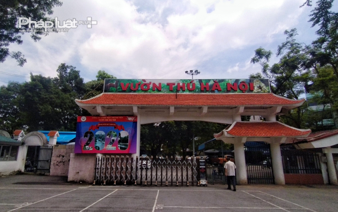 4cd35c249f52600c3943