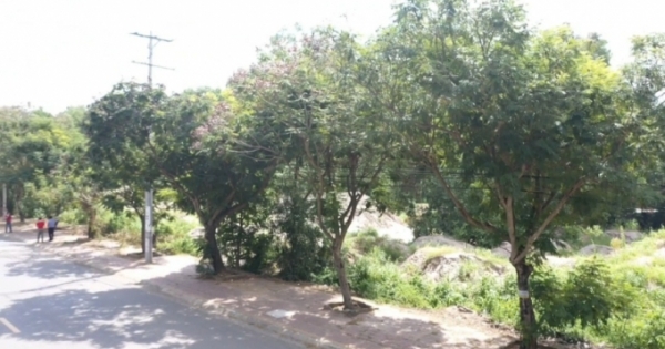 Bà Rịa – Vũng Tàu: Ba đời đi tìm công lý