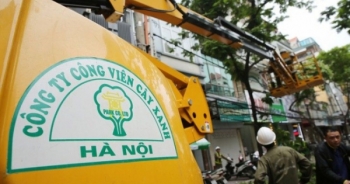 Công ty Cây xanh Hà Nội trúng loạt gói thầu lớn tại Sở Xây dựng Hà Nội, giá tiết kiệm siêu thấp