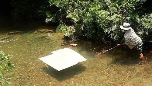 Đi hái sim, 3 học sinh đuối nước tử vong