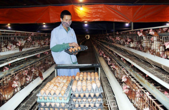 Tổng kết 10 năm thi hành Luật Hợp tác xã năm 2012