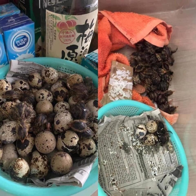 222579620-1191341264697551-407-9747-4741-1627897103