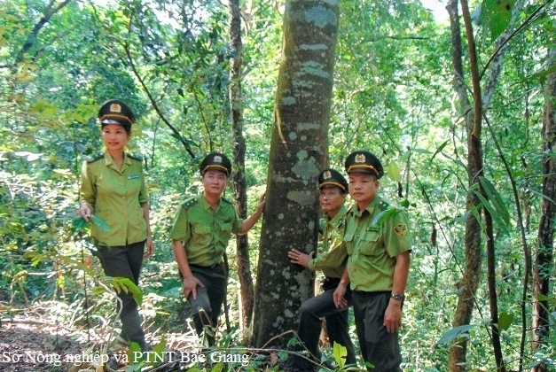 “Sơn nữ” giữ rừng Tây Yên Tử