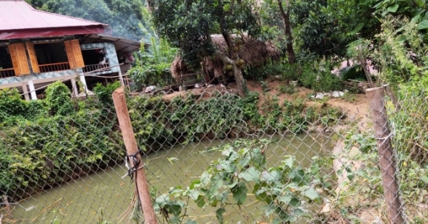 Bé gái 3 tuổi đuối nước thương tâm dưới ao trước nhà