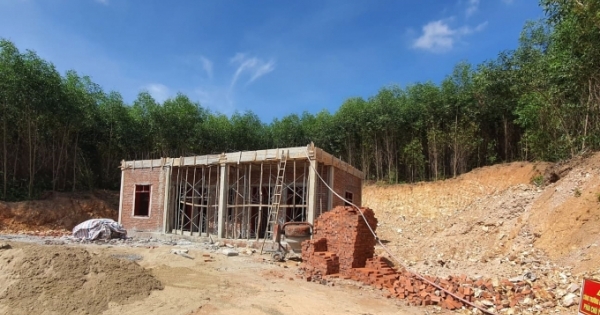 Nghệ An: Đề xuất thu hồi 295 ha đất trồng lúa và 40 ha đất rừng phòng hộ