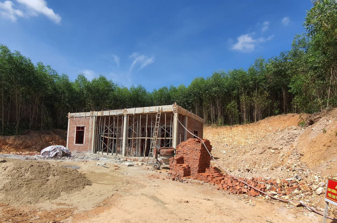 Cùng khoảng 40 ha đất rừng phòng hộ buộc phải thu hồi. (Ảnh minh hoạ)