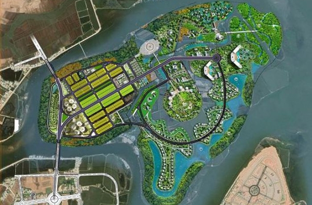 B&igrave;nh Định: Chuyển 12,71 ha đất rừng l&agrave;m đất vật liệu san lấp dự &aacute;n Di&ecirc;m V&acirc;n