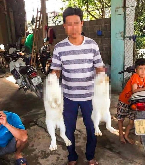 D43FC867-7ABA-4193-A7B9-1AA58C9215C0.