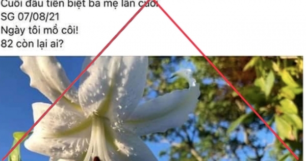 Vụ "bác sĩ Khoa rút ống thở của mẹ": Thêm 3 chủ tài khoản phải giải trình